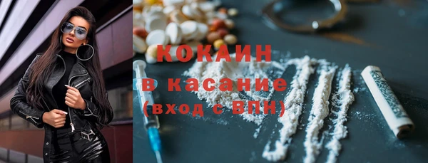 шишки Михайловск