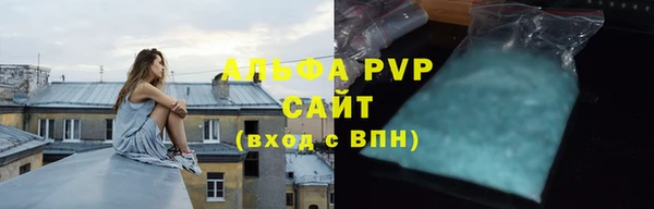 гашик Бикин
