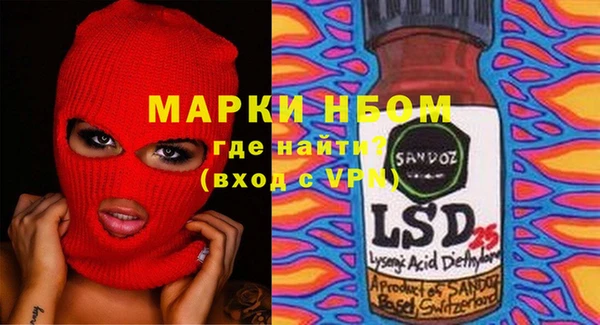 шишки Михайловск