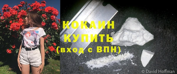 шишки Михайловск