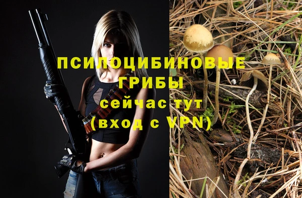 МДМА Михайловка