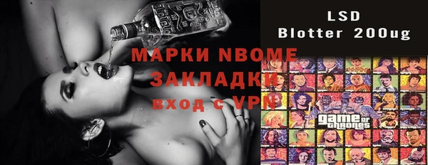 шишки Михайловск