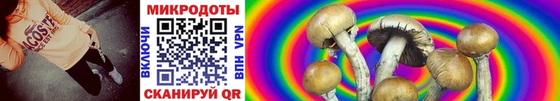 Галлюциногенные грибы Psilocybine cubensis  ОМГ ОМГ зеркало  Печора 