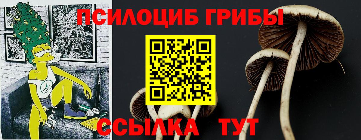 Галлюциногенные грибы мицелий  Печора  Псилоцибиновые грибы мухоморы 