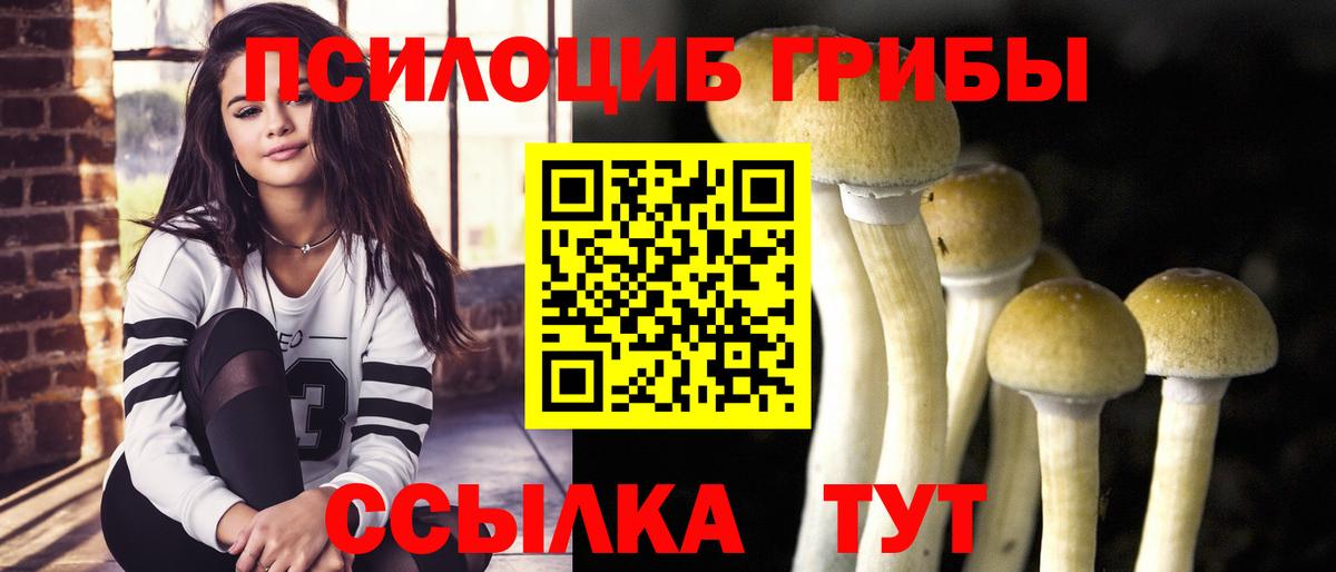 Галлюциногенные грибы мухоморы Печора