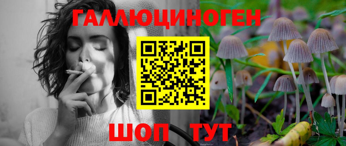 Печора  Псилоцибиновые грибы мицелий  Вход с VPN 