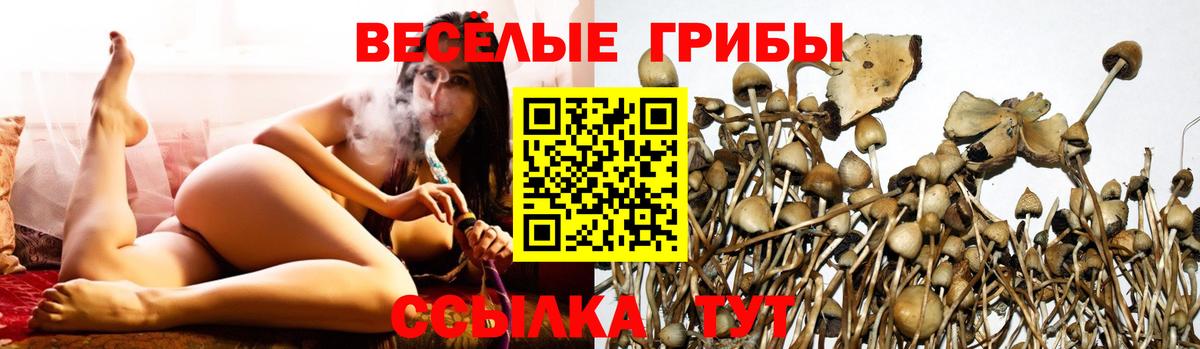 Галлюциногенные грибы GOLDEN TEACHER Печора