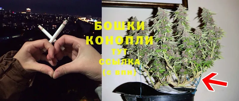 Бошки Шишки сатива  Печора 